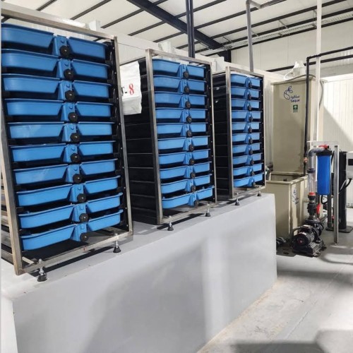 SX-100 Trout, Salmon Fish Incubator